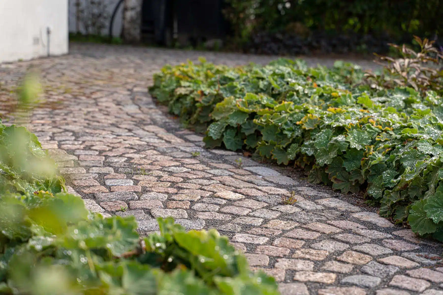 Skov Larsen Anlægsgartner — projekt 1