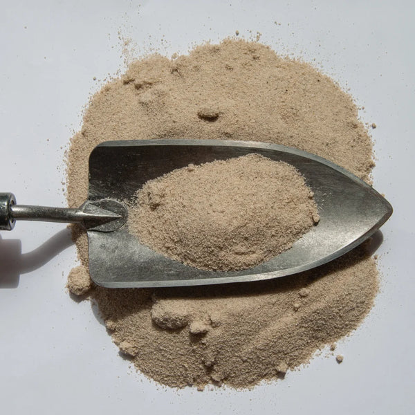 Strandsand (Sandkassesand) 0-2 mm