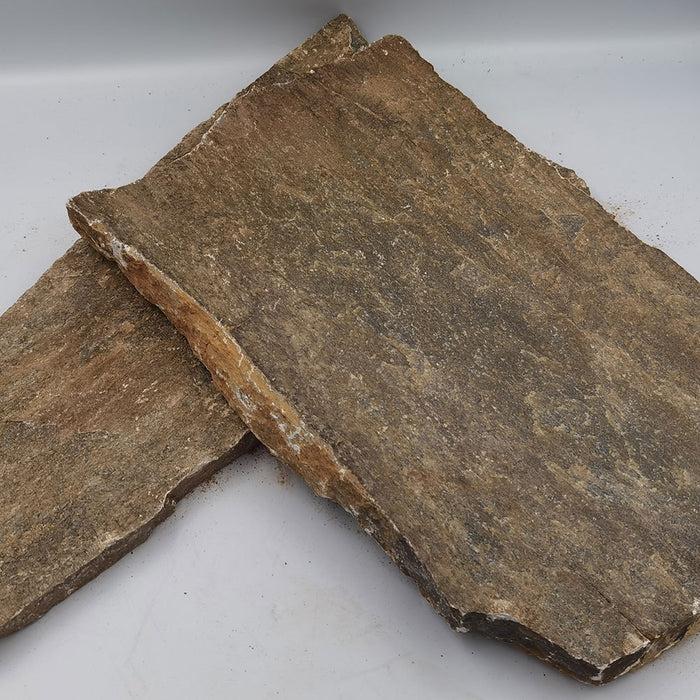 Brudfliser, Brun - Antumn