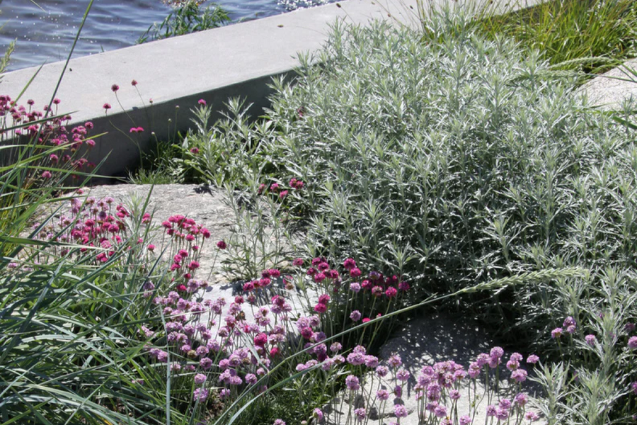LoBe Landskab, Louise Røhr — projekt 4