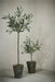 Oliventræ kunstig plante H44 cm