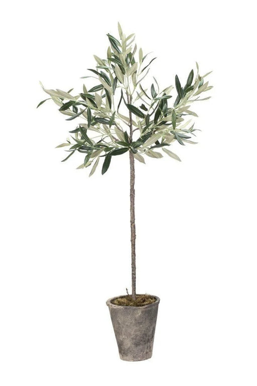 Oliventræ kunstig plante H73 cm