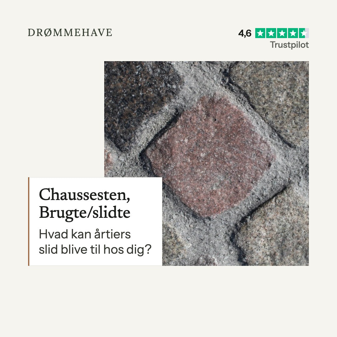 Video: Chaussesten, Brugte/slidte – sådan bruger du den (1:38)
