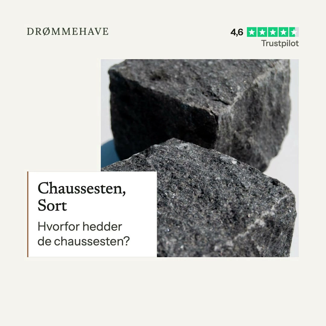 Video: Chaussesten, Sort – sådan bruger du den (1:41)