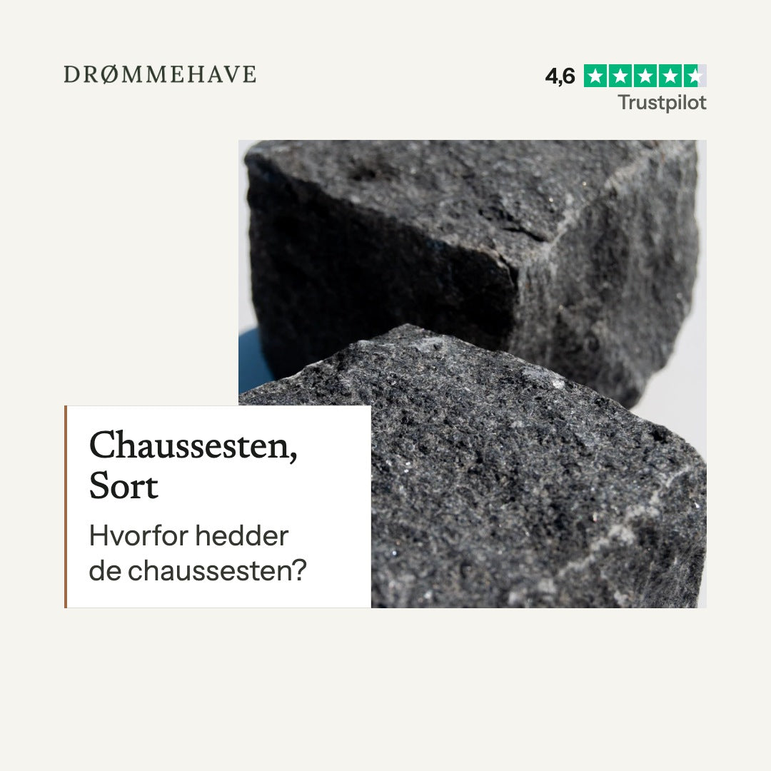 Video: Chaussesten, Sort – sådan bruger du den (1:41)