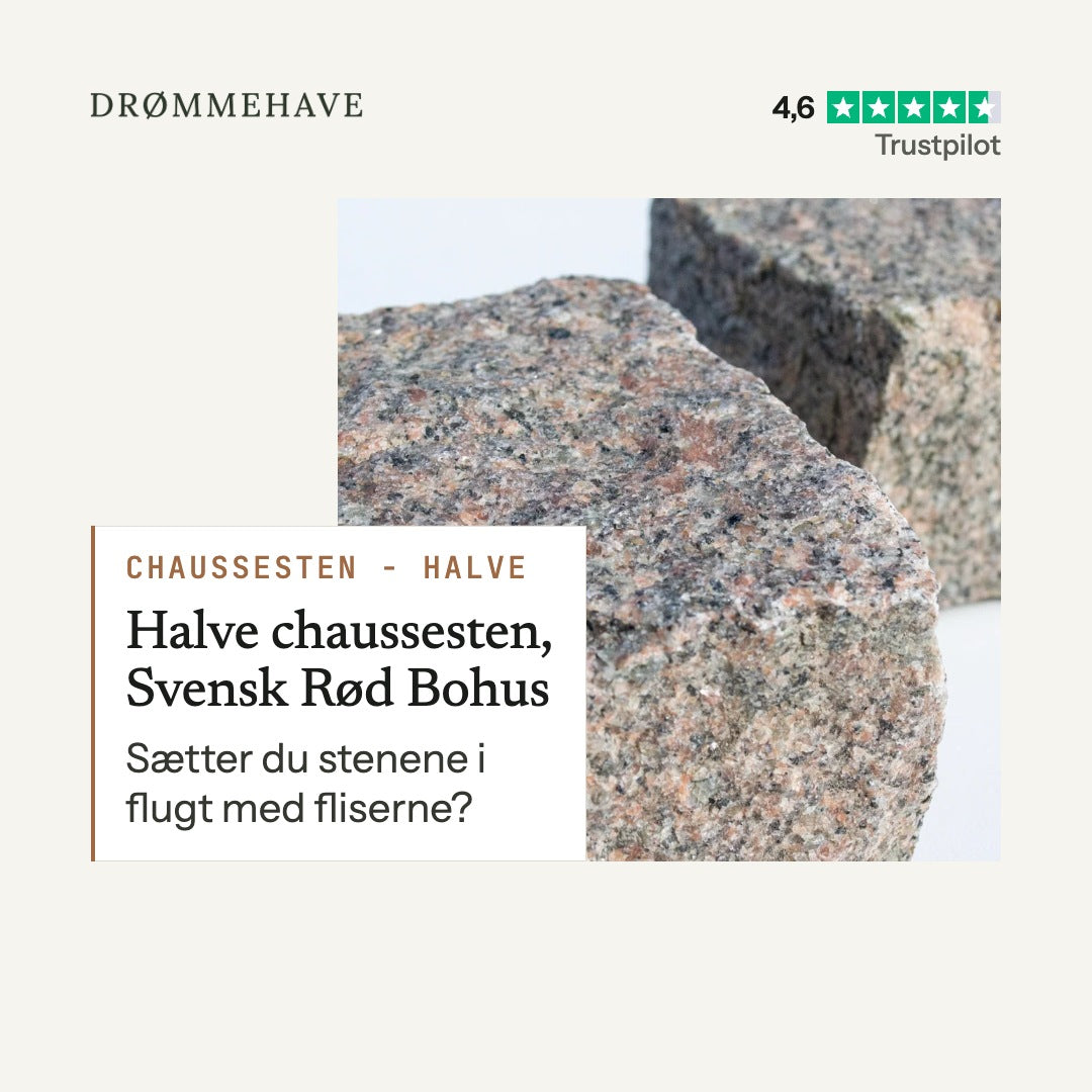 Video: Halve chaussesten, Svensk Rød Bohus – sådan bruger du den (1:34)